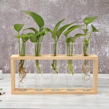 Glass and Wood Vase Planter Terrarium Table Desktop Hydroponics Plant