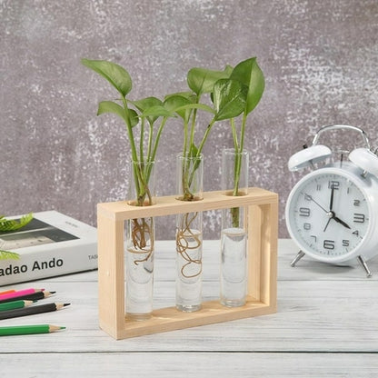 Glass and Wood Vase Planter Terrarium Table Desktop Hydroponics Plant